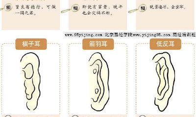 耳朵大鼻子高的眼睛小的男人面相（耳朵比鼻子低面相）