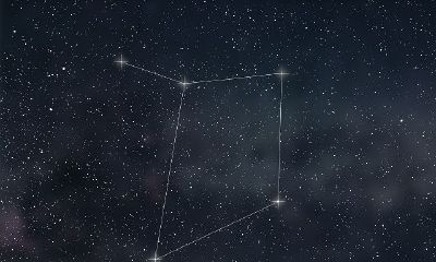 天秤座女生的聊天特点（水瓶座男生性格）