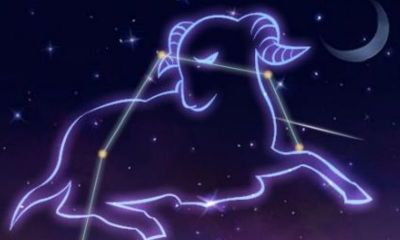 2023年12月星座运势完伽巫整版金牛（金牛座今日运势2023年运势）