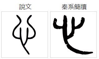 心字取名字五行属什么（心属于什么五行）