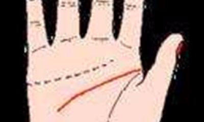 手相有两条智慧线一长一短（手相智慧线有两条）