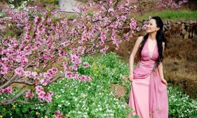 为什么称桃花运（桃花运代表什么意思呢）