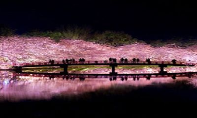 双鱼座失望的表现（双鱼座心寒的表现）