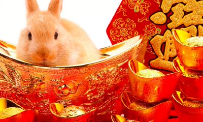 1963年是属虎的吗（1966年属马的是什么命）