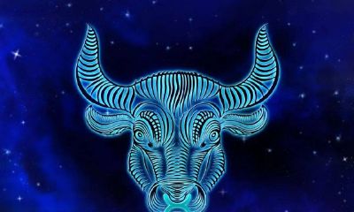 感情最专一的星座男（最专一的星座女）