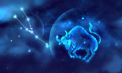 金牛座男不爱你的细节（金牛座男生不喜欢你的表现）