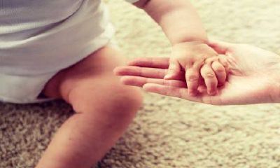 属兔孩子起名字带什么字好（属兔名字男孩宜用字）