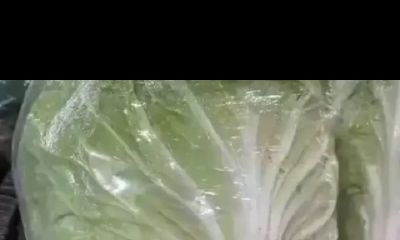 24岁属虎的婚姻（虎年本命年24岁感情）