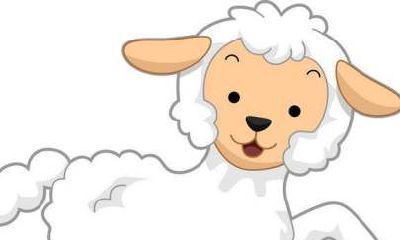 属羊每日运势如何（1979年属羊人运势）