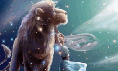 狮子座男向你撒娇卖萌（与狮子座男生聊天的大忌）