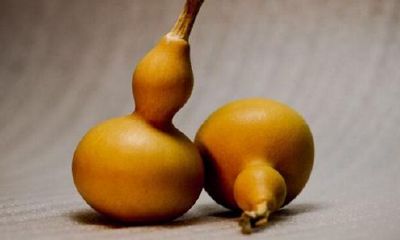 财位上放铜葫芦还是木葫芦（葫芦挂在哪里聚财）