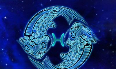 双鱼座在乎你的时候（双鱼座突然对你冷淡）