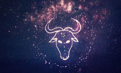 金牛座和处女座谈恋爱会怎么样（和金牛男谈恋爱太累了）