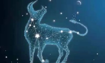 金牛座跟摩羯座一样倔（金牛座和摩羯座谁吃定谁）