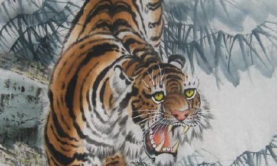 女属虎和男属猴（女属虎和男属猴的合不合婚）