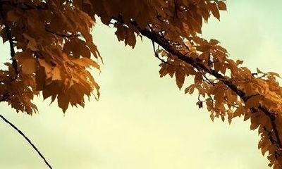 天秤座的实力（天秤座有什么超能力）