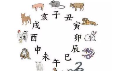 时辰对应十二生肖（今天属什么生肖）
