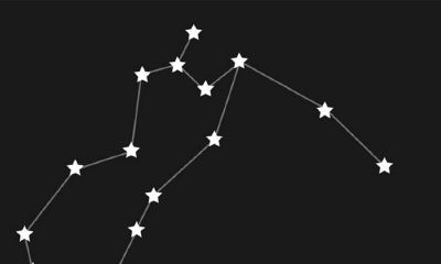 双鱼座跟哪个星座不合适（双鱼座不适合什么星座）