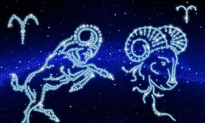 白羊座的情绪怎么样（白羊座脾气暴躁吗）