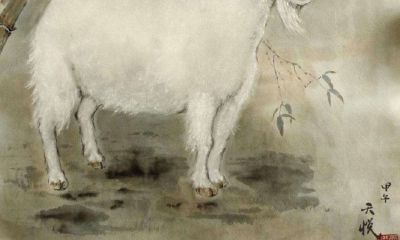 属羊2023年的健康（1991年属羊有几次婚姻）