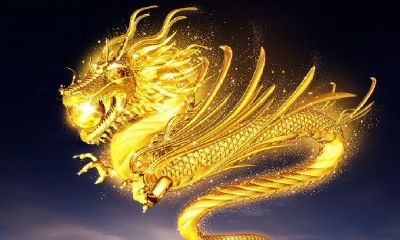 生肖狗的桃花运（属狗的人桃花运如何）