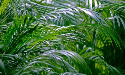 阳宅大门风水（阳宅风水图解大全）