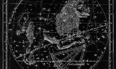 水瓶座和狮子座合不来（水瓶座和狮子座适合做夫妻么）