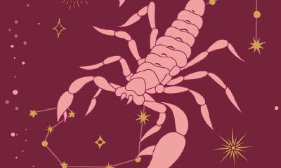 双子座女和天秤座男婚姻如何（天秤座男和双子座女的爱情）