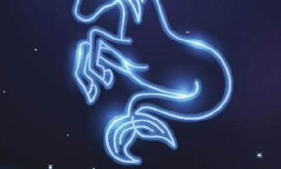 和摩羯座聊天技巧（跟摩羯女聊天聊些什么）