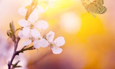 哪个星座最好色男（十二星座男谁最渣）