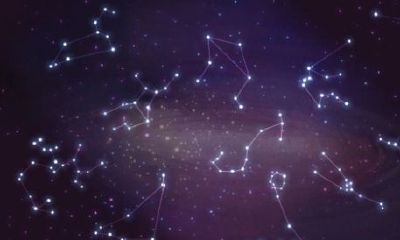 双子座的爱情是什么样的（双子座到底是个什么样的人）