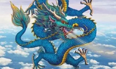 1988年属龙什么性格特点（1988年属龙人婚姻晚）