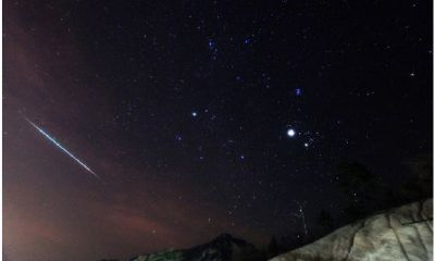 属猴的双子座男的性格感情（双子座男生性格特点全面分析）