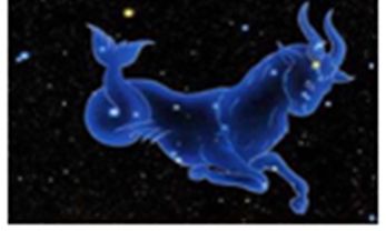 水瓶座和摩羯座谁会赢（摩羯座玩不过水瓶）