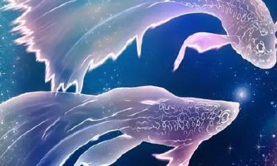 双鱼座自尊心很强（双鱼男6种冷漠是爱你）