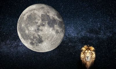 怎么摆脱狮子座纠缠（怎么治狮子座）