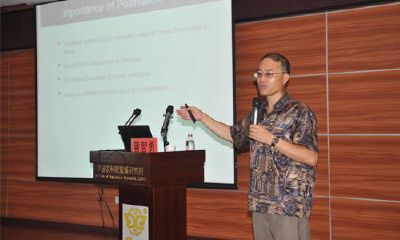 黄智勇命理学（命理学中最好的命数）