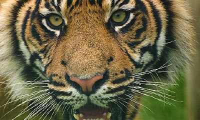 今天水瓶座的幸运值是多少（水瓶座今天运势）