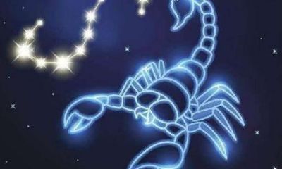 天蝎座复仇的表现（如何反虐天蝎座）