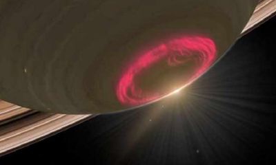 太阳星座判断（女生看月亮星座比较准）