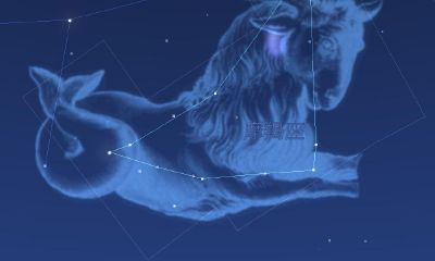 摩羯座男星座详情（星座表十二星座表摩羯男）