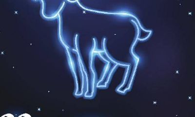 白羊座追到了就不爱了（白羊座什么情况下不追了）