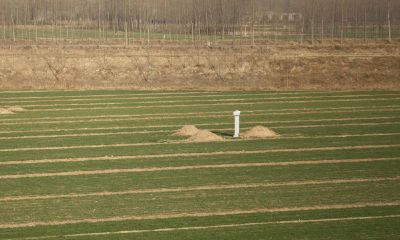 梦到和去世的父亲说话是什么预兆（梦见去世的父亲回来了）