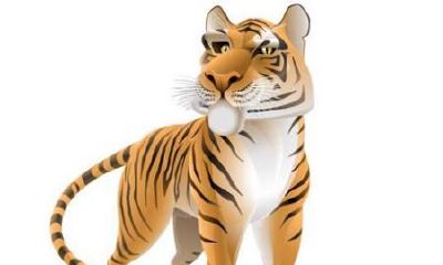 属猪女喜欢什么样男人（属猪男喜欢什么性格女人）