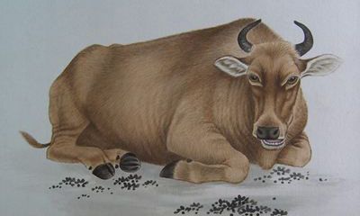 属蛇人什么年龄发大财（属蛇人33岁能发财吗）