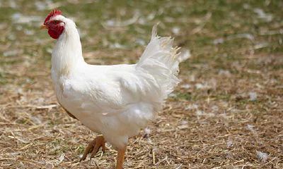 换大运的最佳地方（大运可以改吗）