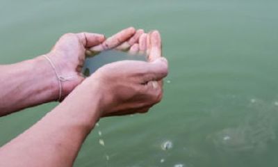 周公解梦梦见坐马车停在混水里（手相婚姻线乱）