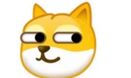 女孩子发旺财我怎么回复（女孩回复旺财是对你）