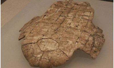 商代甲骨占卜分为哪四个阶段（甲骨占卜怎样判断结果）