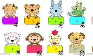 鼠是最大的属相吗（十二生肖中老大是何肖）